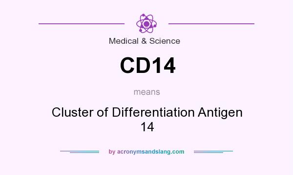 What does CD14 mean? It stands for Cluster of Differentiation Antigen 14