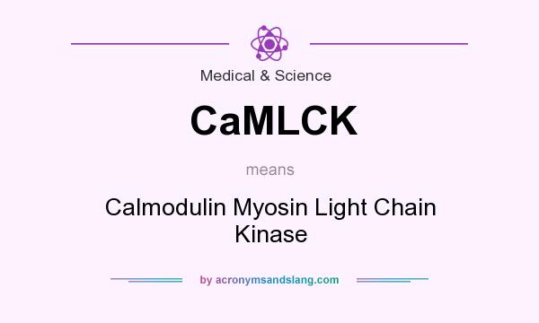 What does CaMLCK mean? It stands for Calmodulin Myosin Light Chain Kinase
