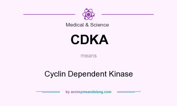 What does CDKA mean? It stands for Cyclin Dependent Kinase