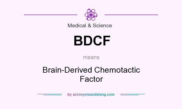 What does BDCF mean? It stands for Brain-Derived Chemotactic Factor