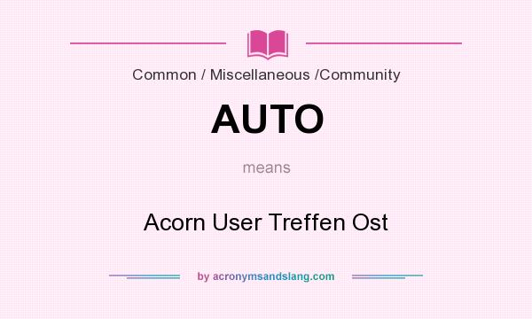 What does AUTO mean? It stands for Acorn User Treffen Ost