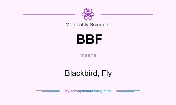 What does BBF mean? It stands for Blackbird, Fly