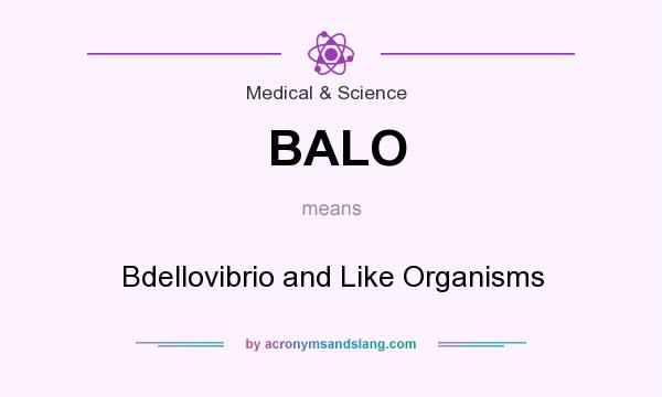 What does BALO mean? It stands for Bdellovibrio and Like Organisms