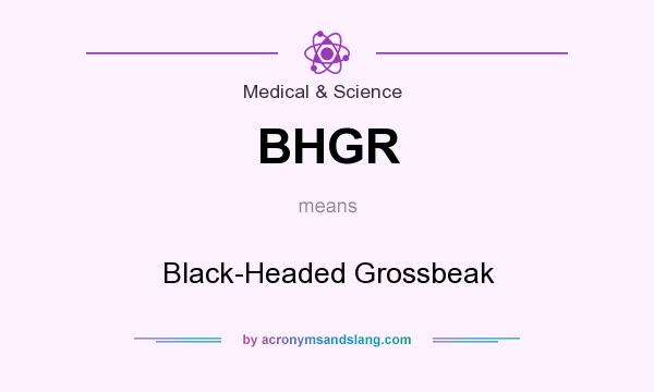 What does BHGR mean? It stands for Black-Headed Grossbeak