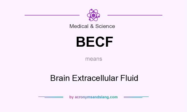 What does BECF mean? It stands for Brain Extracellular Fluid