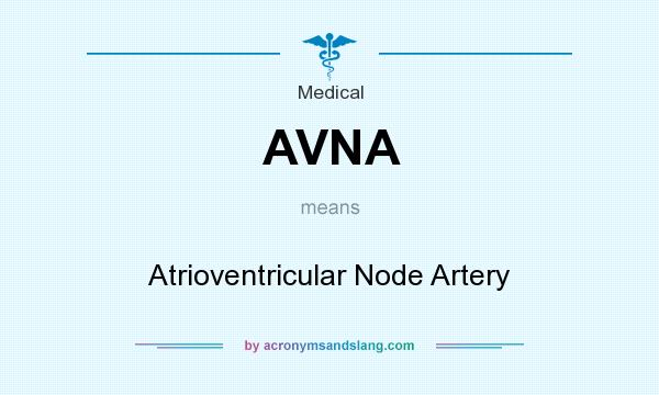 What does AVNA mean? It stands for Atrioventricular Node Artery