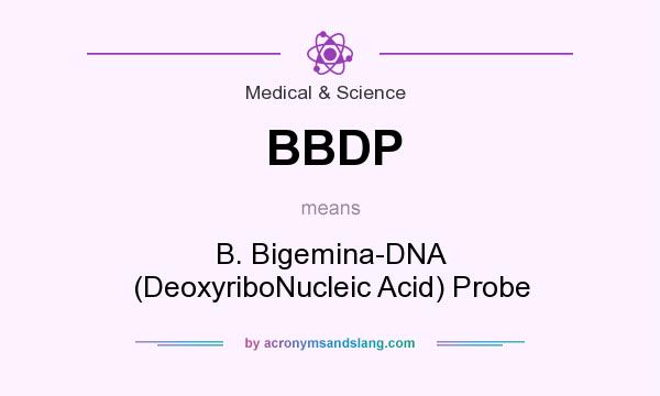 What does BBDP mean? It stands for B. Bigemina-DNA (DeoxyriboNucleic Acid) Probe