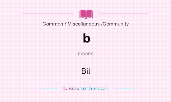 What does b mean? It stands for Bit