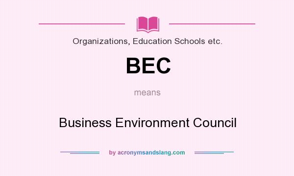 What does BEC mean? It stands for Business Environment Council