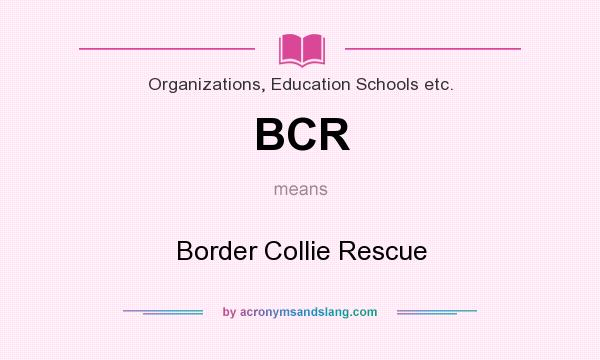 What does BCR mean? It stands for Border Collie Rescue