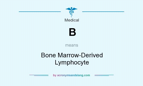 What does B mean? It stands for Bone Marrow-Derived Lymphocyte