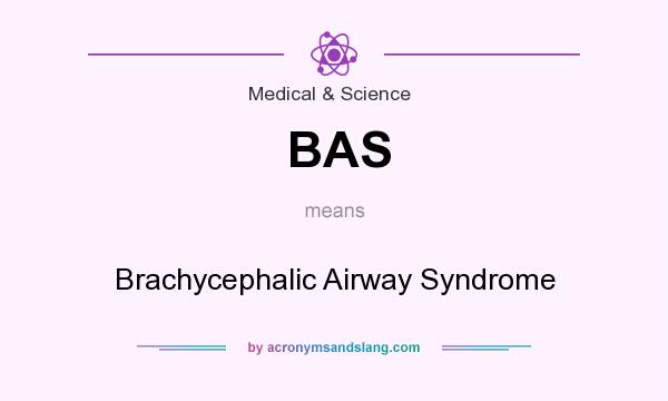 What does BAS mean? It stands for Brachycephalic Airway Syndrome