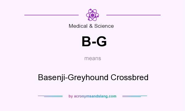 What does B-G mean? It stands for Basenji-Greyhound Crossbred
