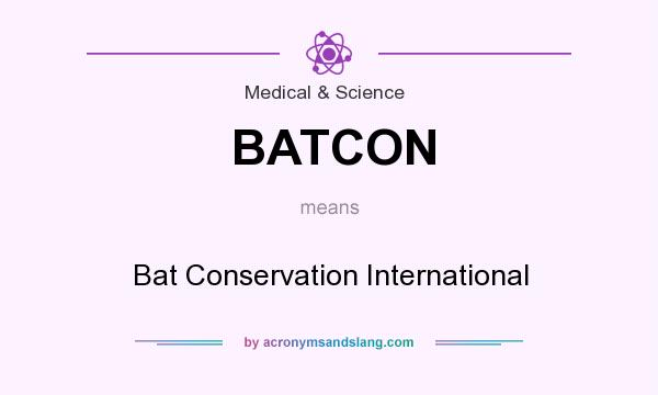 What does BATCON mean? It stands for Bat Conservation International