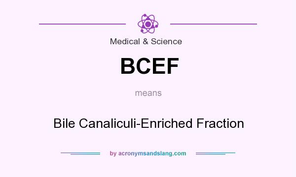 What does BCEF mean? It stands for Bile Canaliculi-Enriched Fraction