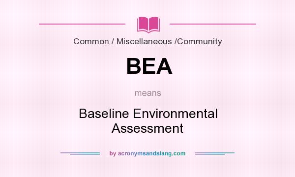 What does BEA mean? It stands for Baseline Environmental Assessment