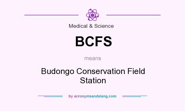 What does BCFS mean? It stands for Budongo Conservation Field Station