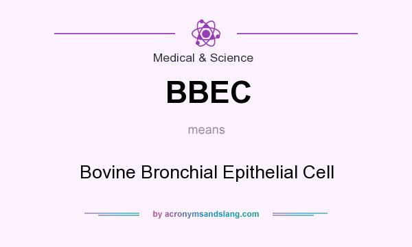 What does BBEC mean? It stands for Bovine Bronchial Epithelial Cell