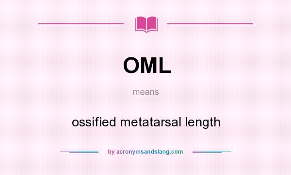 What does OML mean? It stands for ossified metatarsal length