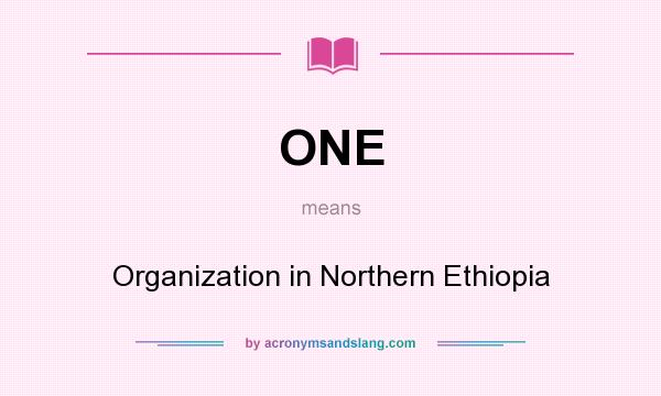 What does ONE mean? It stands for Organization in Northern Ethiopia