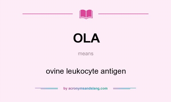 What does OLA mean? It stands for ovine leukocyte antigen