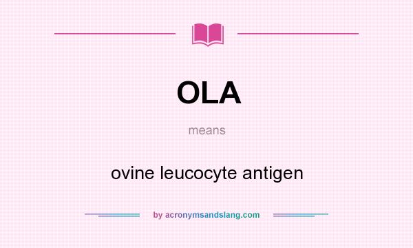 What does OLA mean? It stands for ovine leucocyte antigen