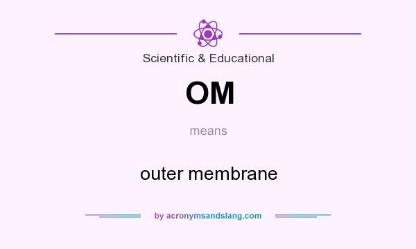 What does OM mean? It stands for outer membrane