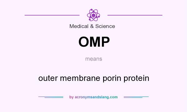 What does OMP mean? It stands for outer membrane porin protein