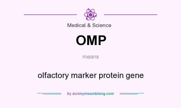 What does OMP mean? It stands for olfactory marker protein gene