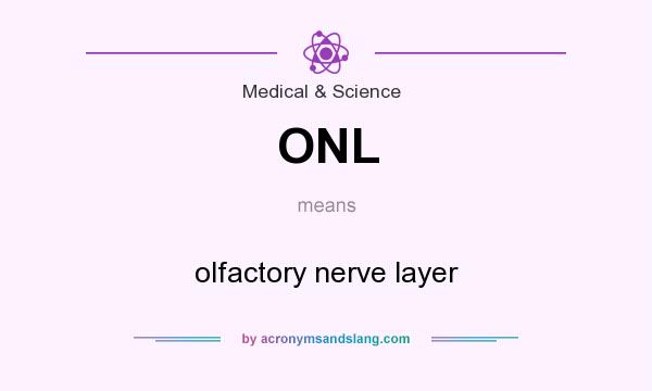 What does ONL mean? It stands for olfactory nerve layer