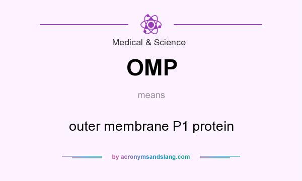 What does OMP mean? It stands for outer membrane P1 protein