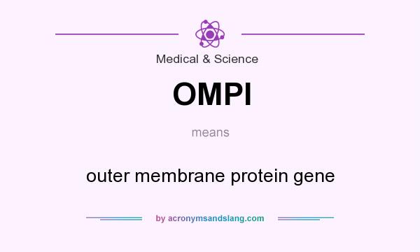 What does OMPI mean? It stands for outer membrane protein gene