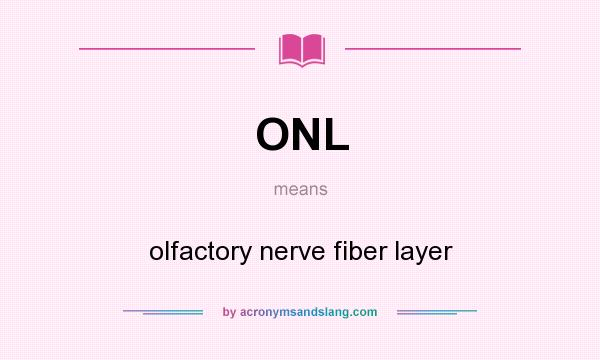 What does ONL mean? It stands for olfactory nerve fiber layer