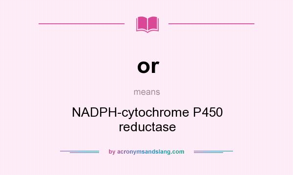 What does or mean? It stands for NADPH-cytochrome P450 reductase