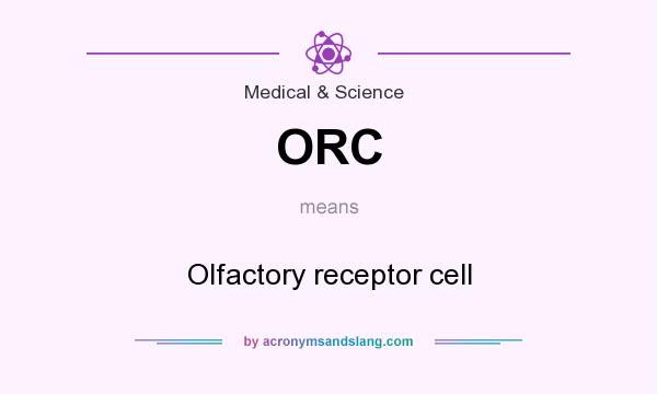 What does ORC mean? It stands for Olfactory receptor cell