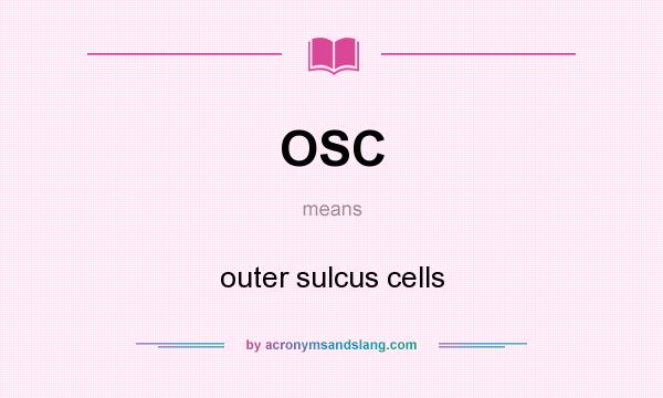 What does OSC mean? It stands for outer sulcus cells