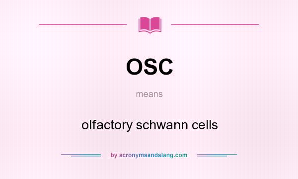 What does OSC mean? It stands for olfactory schwann cells