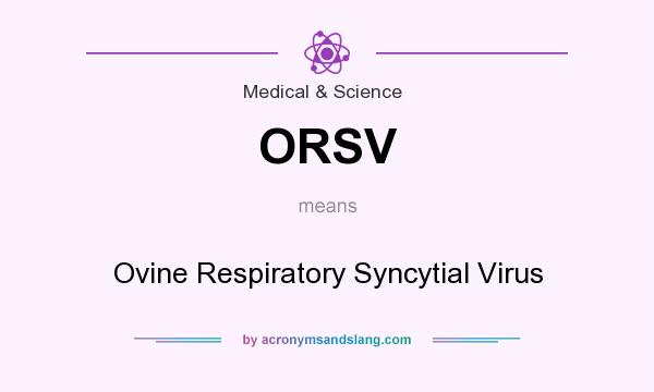 What does ORSV mean? It stands for Ovine Respiratory Syncytial Virus