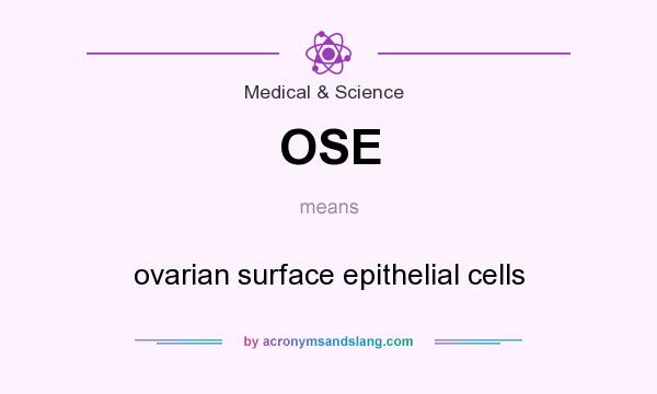 What does OSE mean? It stands for ovarian surface epithelial cells