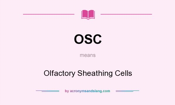 What does OSC mean? It stands for Olfactory Sheathing Cells