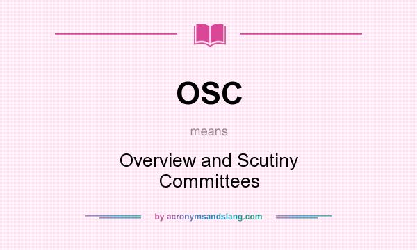What does OSC mean? It stands for Overview and Scutiny Committees
