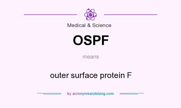 What does OSPF mean? It stands for outer surface protein F