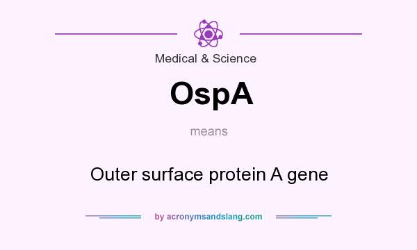 What does OspA mean? It stands for Outer surface protein A gene