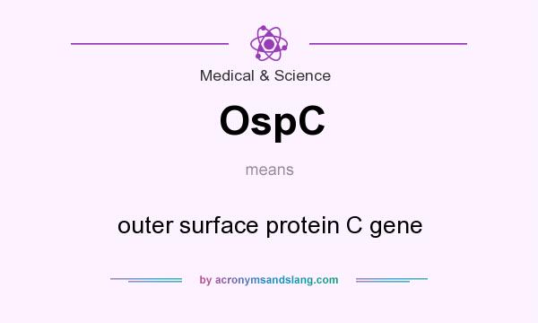 What does OspC mean? It stands for outer surface protein C gene