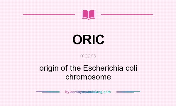 What does ORIC mean? It stands for origin of the Escherichia coli chromosome