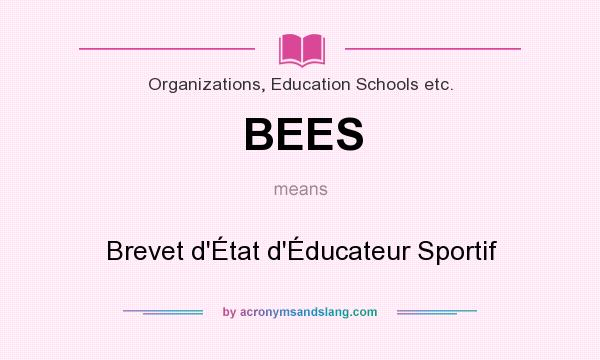 What does BEES mean? It stands for Brevet d`État d`Éducateur Sportif