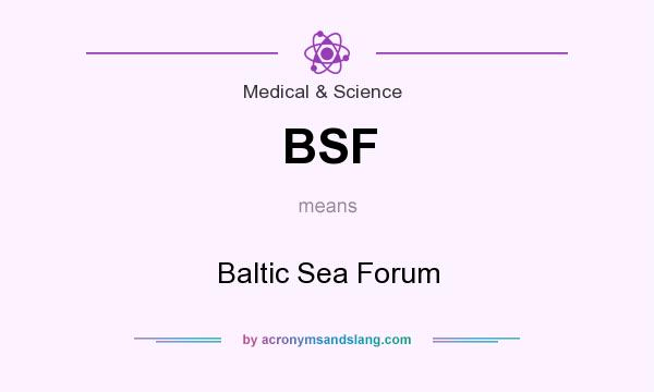 What does BSF mean? It stands for Baltic Sea Forum