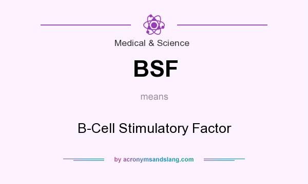 What does BSF mean? It stands for B-Cell Stimulatory Factor