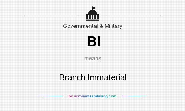 What does BI mean? It stands for Branch Immaterial