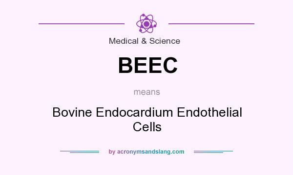 What does BEEC mean? It stands for Bovine Endocardium Endothelial Cells